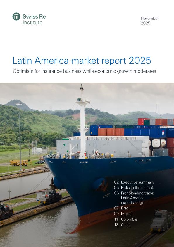 Acceso al documento / Access the document