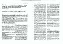 Fichero PDF / PDF file