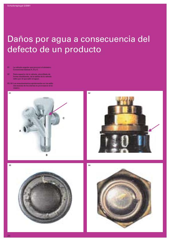 Recurso electrónico / electronic resource