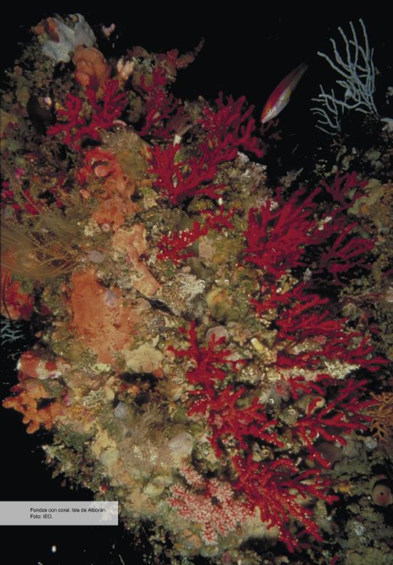 Recurso electrónico / electronic resource