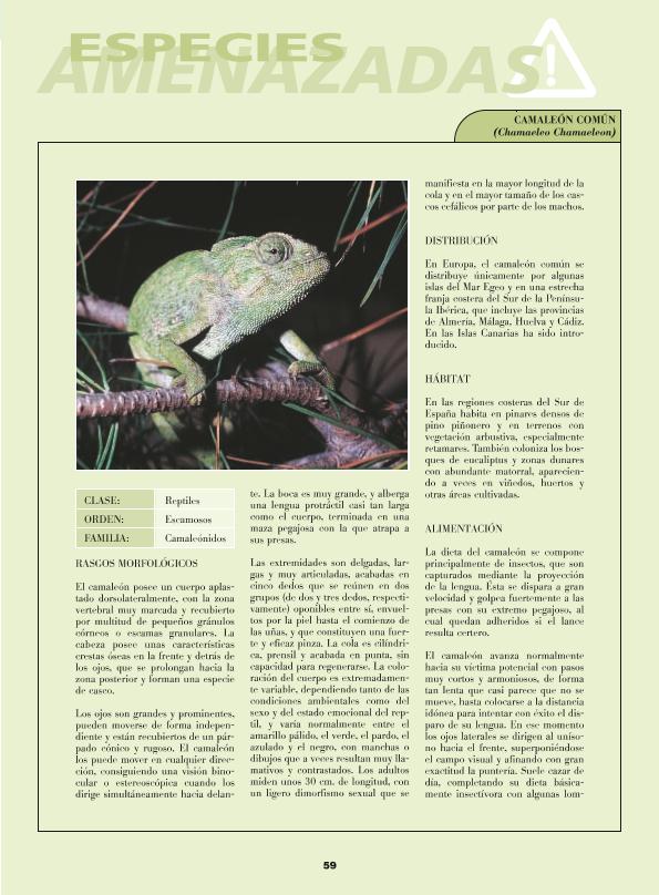 Recurso electrónico / electronic resource