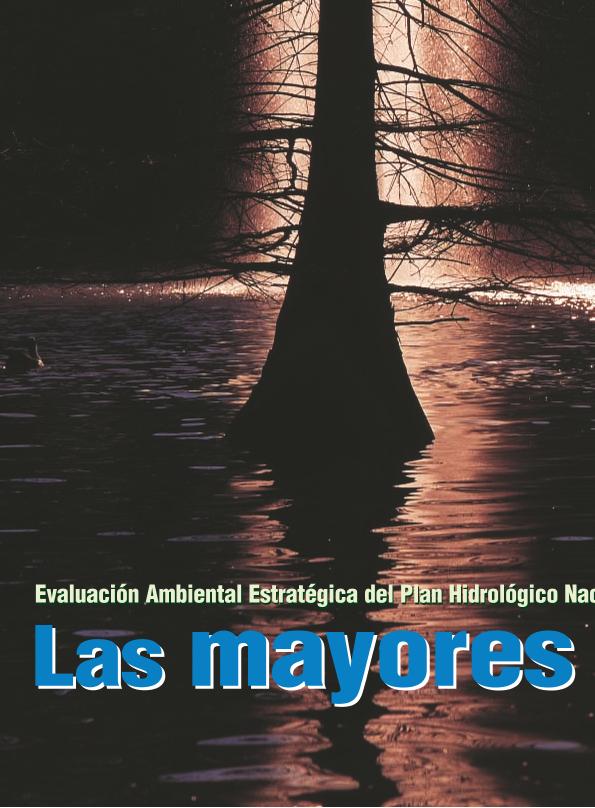 Recurso electrónico / electronic resource