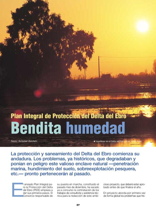 Recurso electrónico / electronic resource