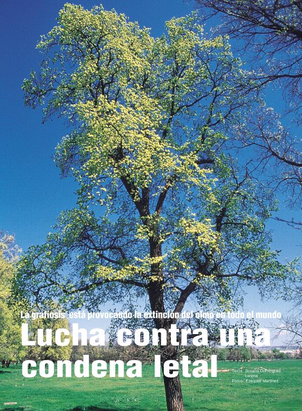 Recurso electrónico / electronic resource