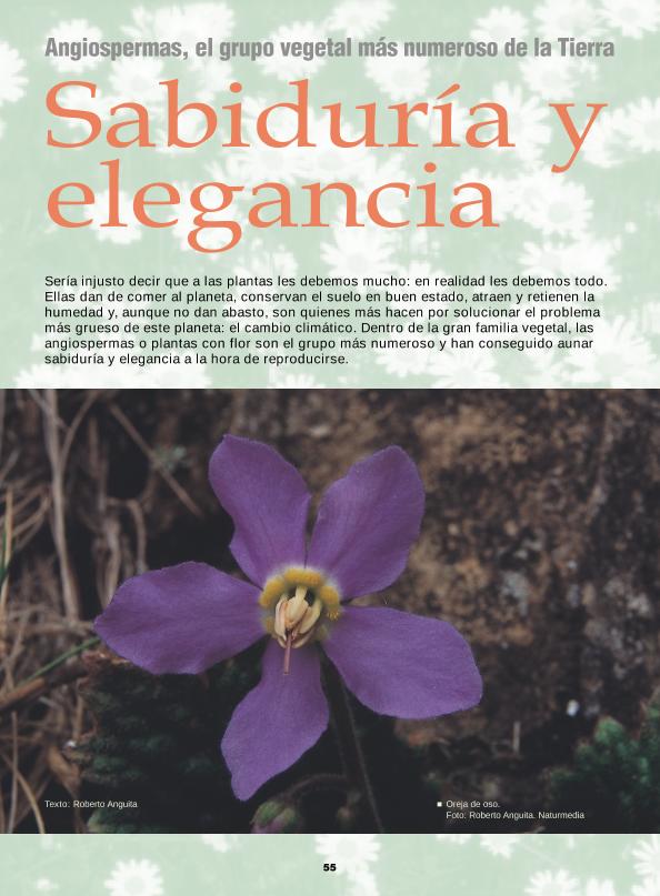 Recurso electrónico / electronic resource