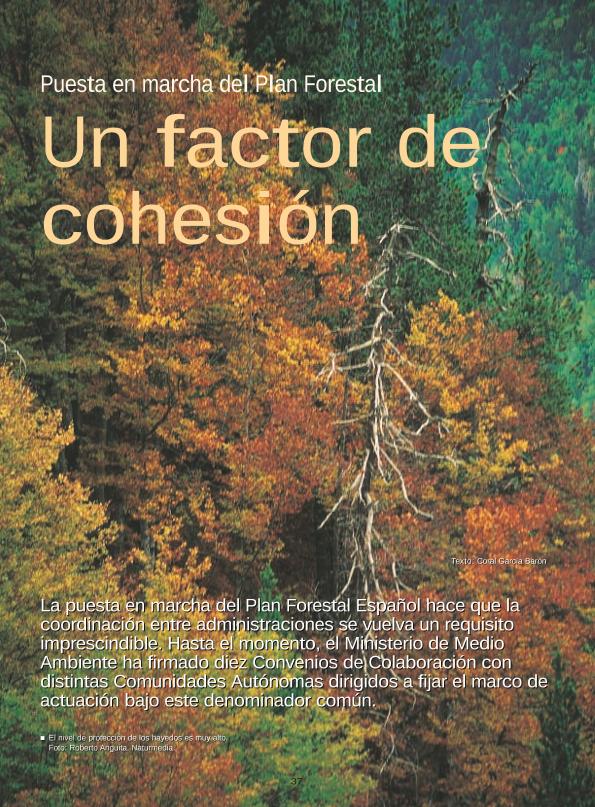 Recurso electrónico / electronic resource