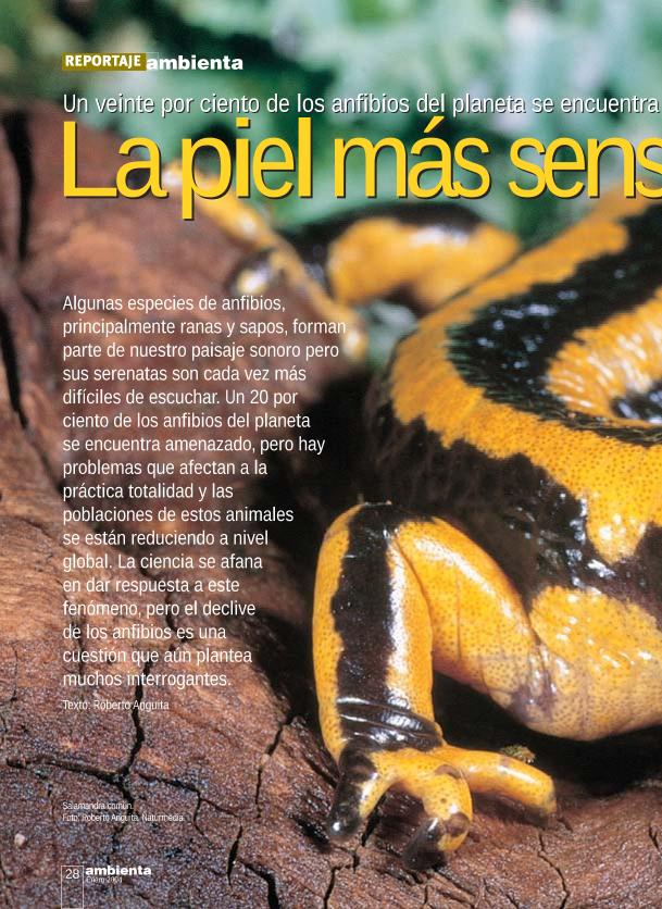 Recurso electrónico / electronic resource