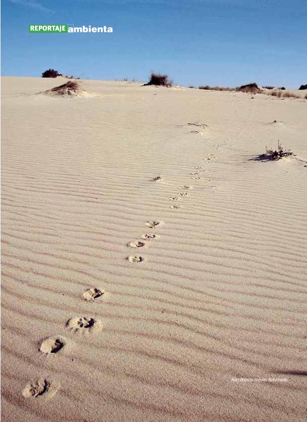 Recurso electrónico / electronic resource