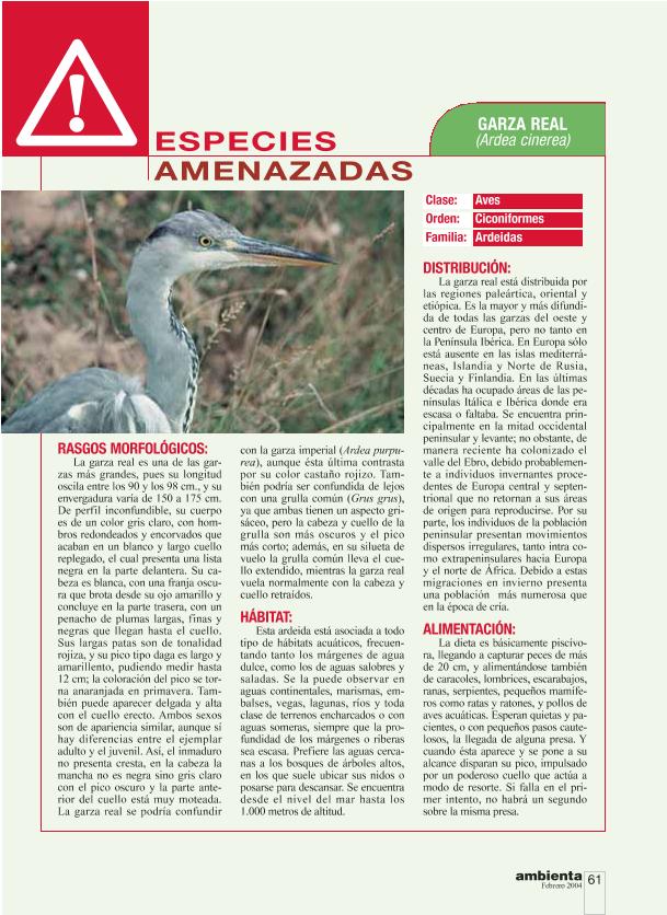 Recurso electrónico / electronic resource