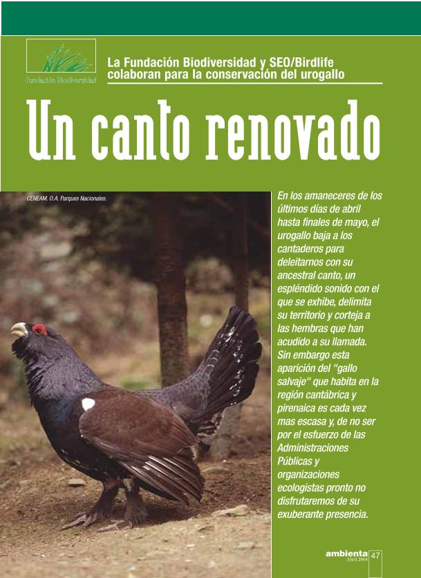 Recurso electrónico / electronic resource