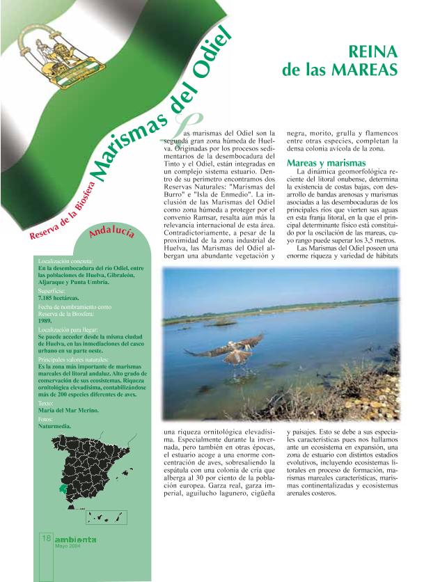 Recurso electrónico / electronic resource