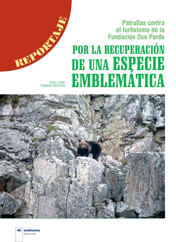 Recurso electrónico / electronic resource