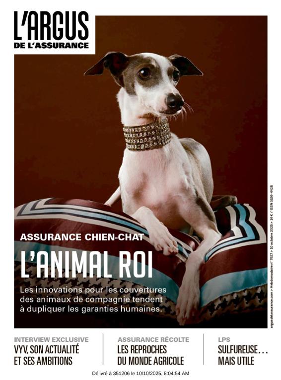 Acceso al documento/Access the document