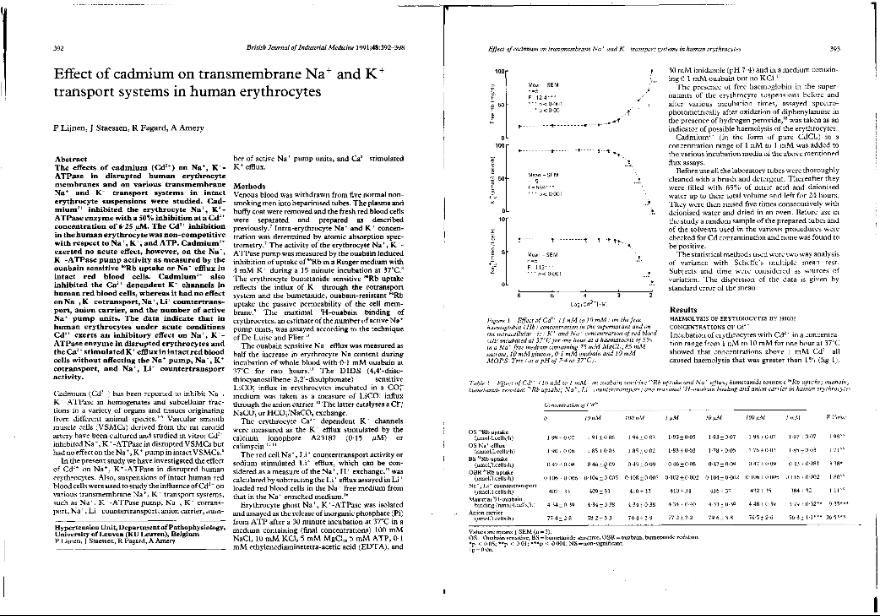 Fichero PDF / PDF file