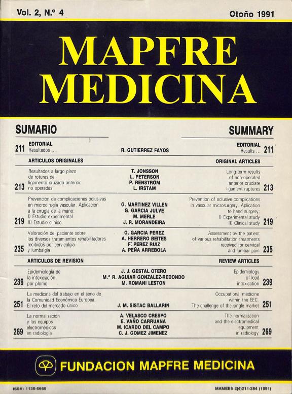 Acceso al documento / Access the document