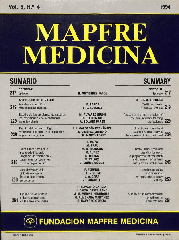 Acceso al documento / Access the document