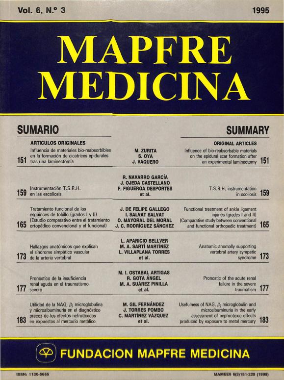 Acceso al documento/Access the document