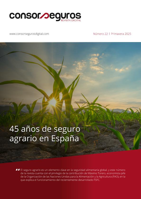 Acceso al documento/Access the document