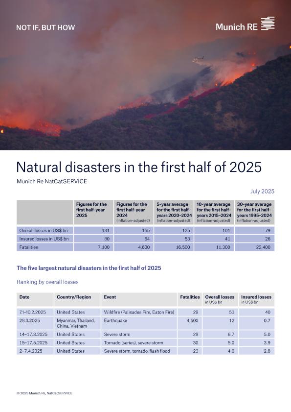 Acceso al documento / Access the document
