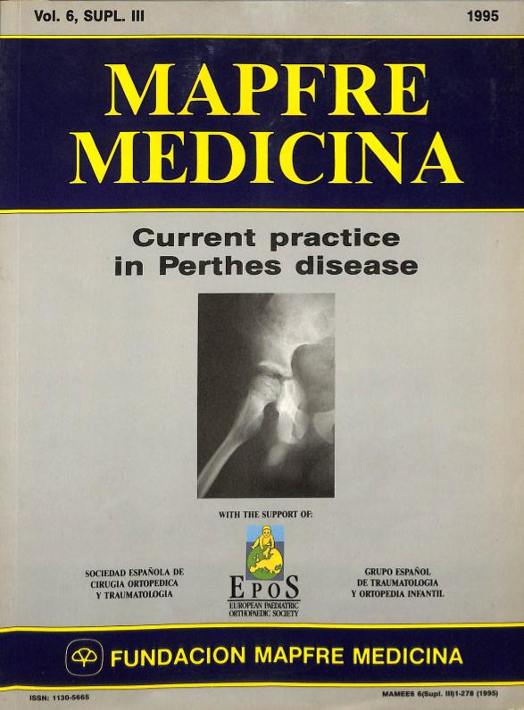 Acceso al documento/Access the document