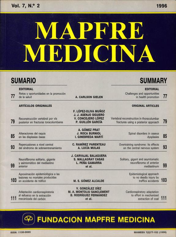 Acceso al documento/Access the document