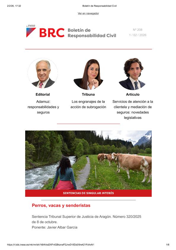 Acceso al documento / Access the document