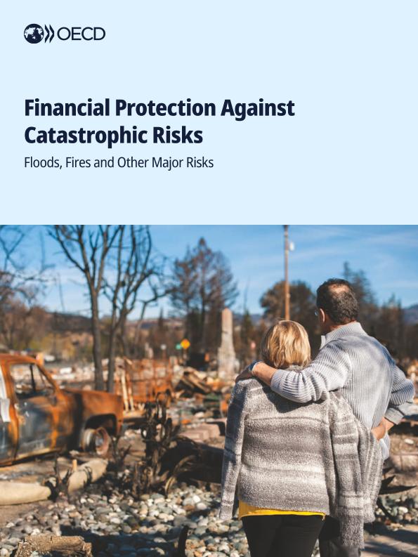 Acceso al documento / Access the document