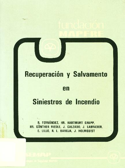 Recurso electrónico / Electronic resource