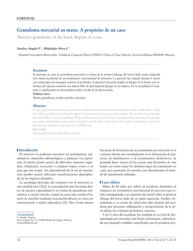 Recurso electrónico / Electronic resource
