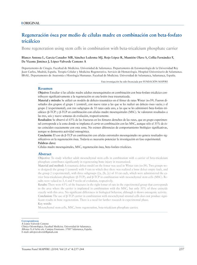 Recurso electrónico / Electronic resource