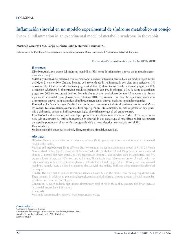Recurso electrónico / Electronic resource