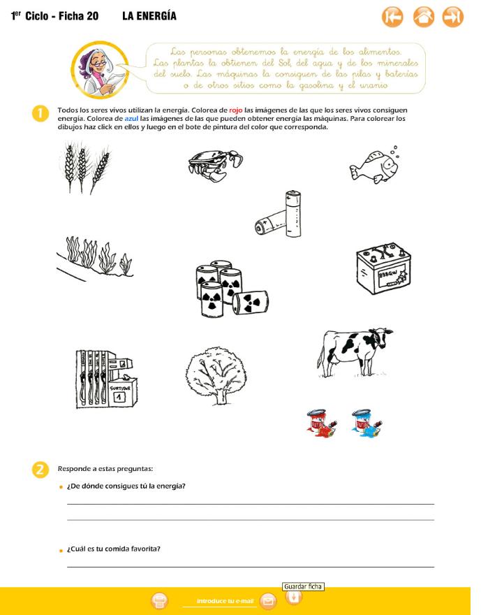 Recurso electrónico / electronic resource